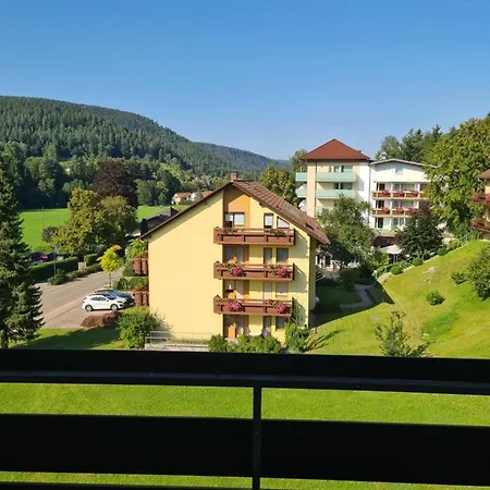 Ferienwohnung Elsa *